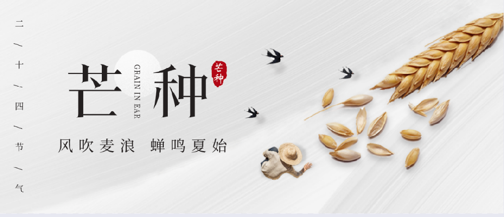 芒種 | 守住土壤健康，保護(hù)生態(tài)環(huán)境